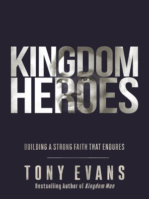 cover image of Kingdom Heroes